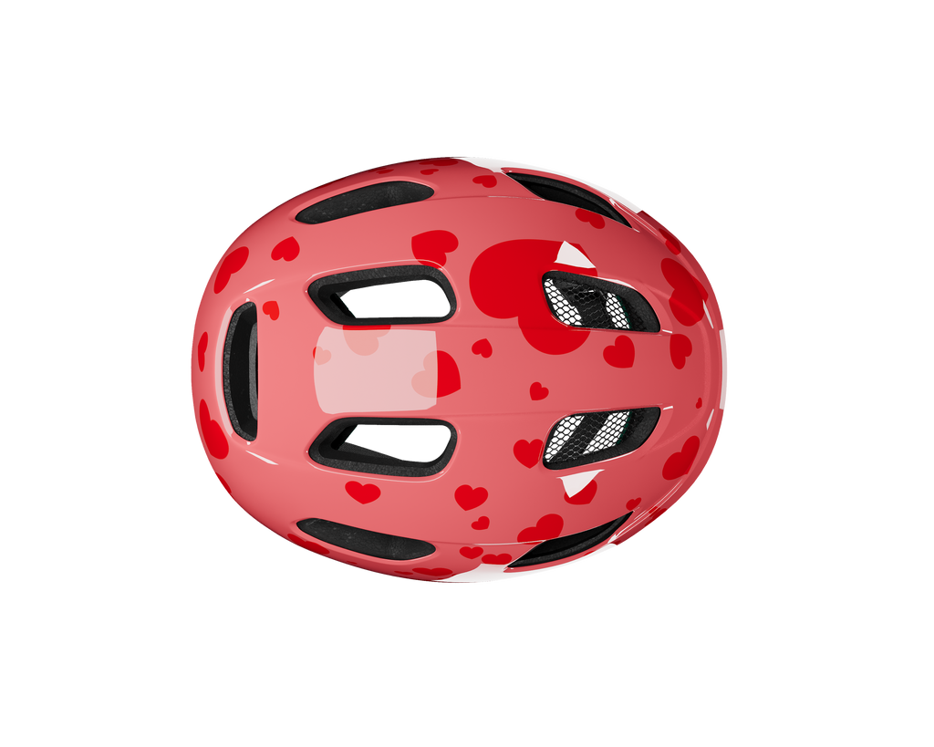 NUTZ 2.0 KINETICORE