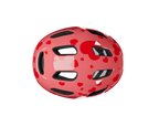 NUTZ 2.0 KINETICORE