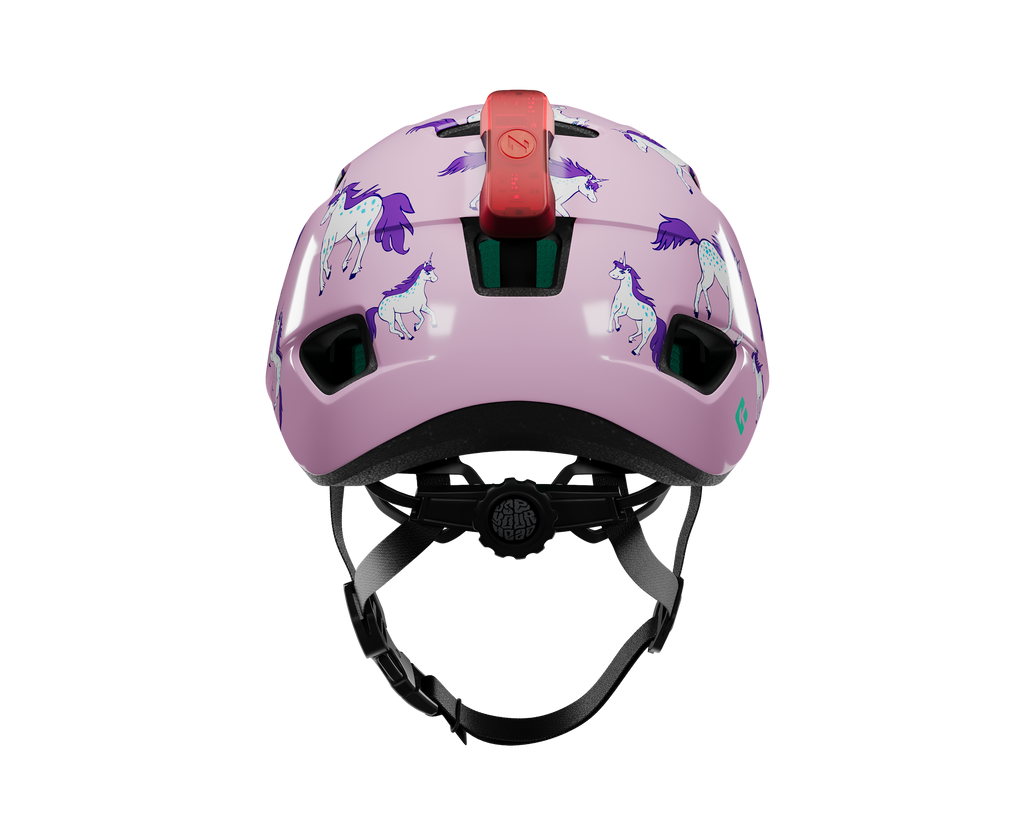 NUTZ 2.0 KINETICORE